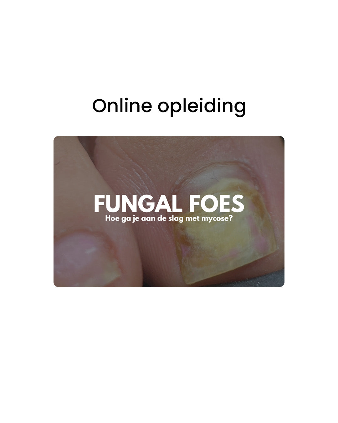 FUNGAL FOES