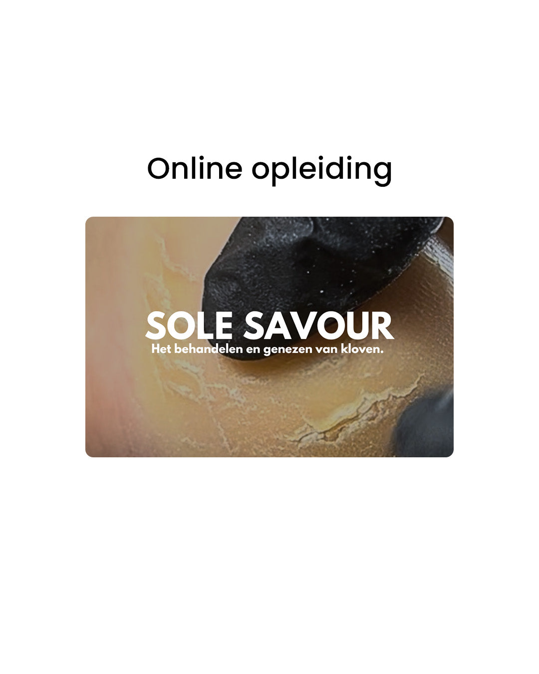 SOLE SAVIOUR